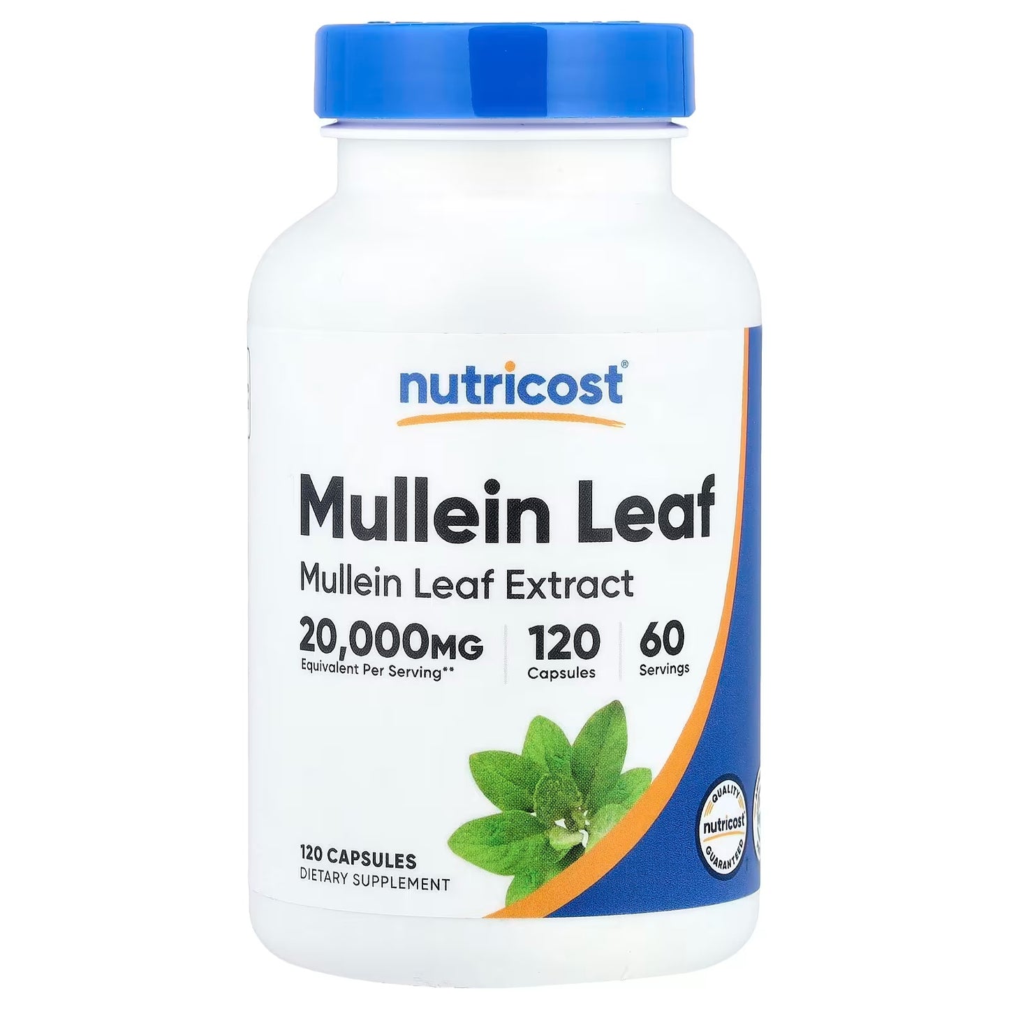 Mullein Extract 500mg – 90 Capsules, Herbal Mullein Supplement for Respiratory Wellness