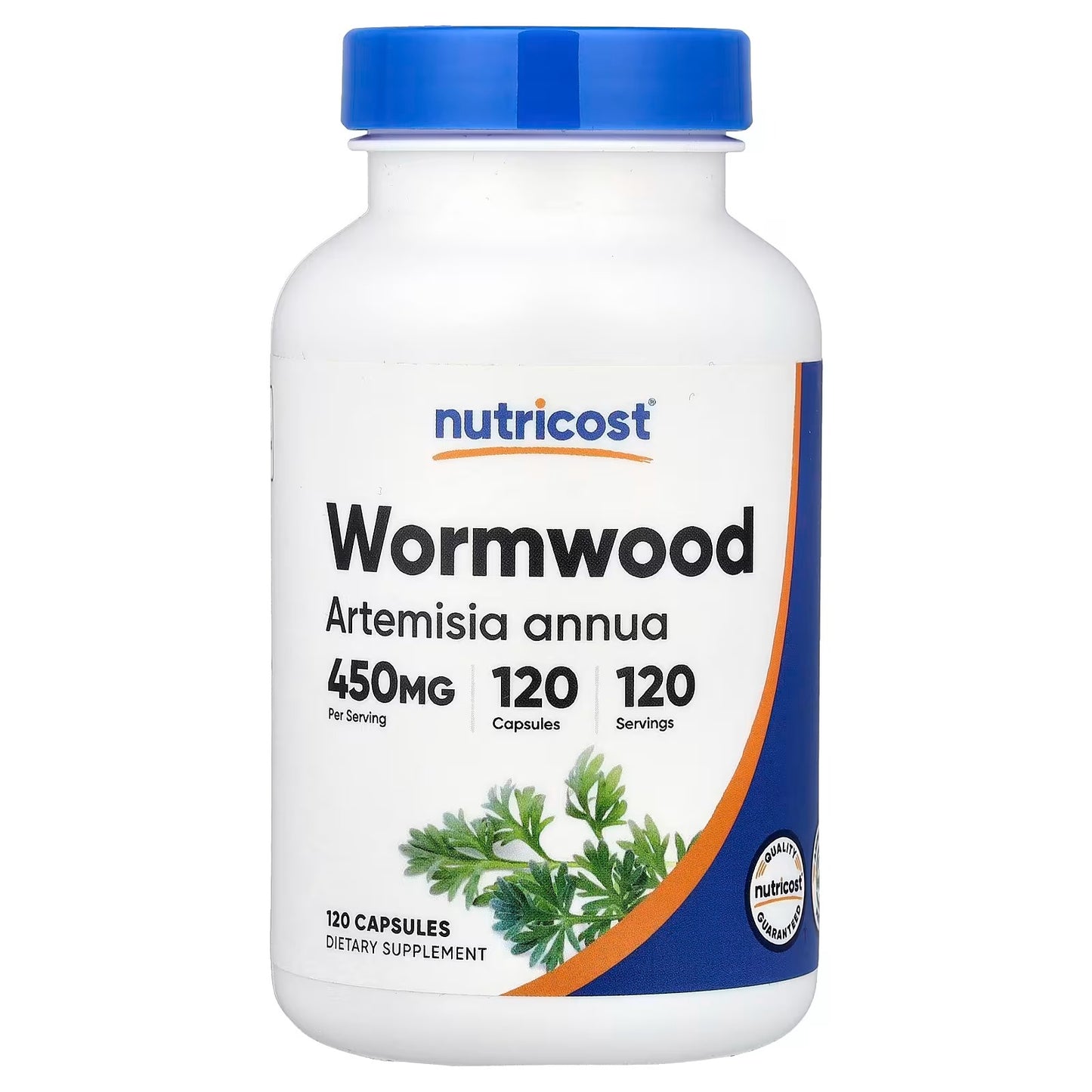Nutricost Wormwood 450mg – 120 Vegetarian Capsules, Gluten-Free & GMO-Free Herbal Supplement